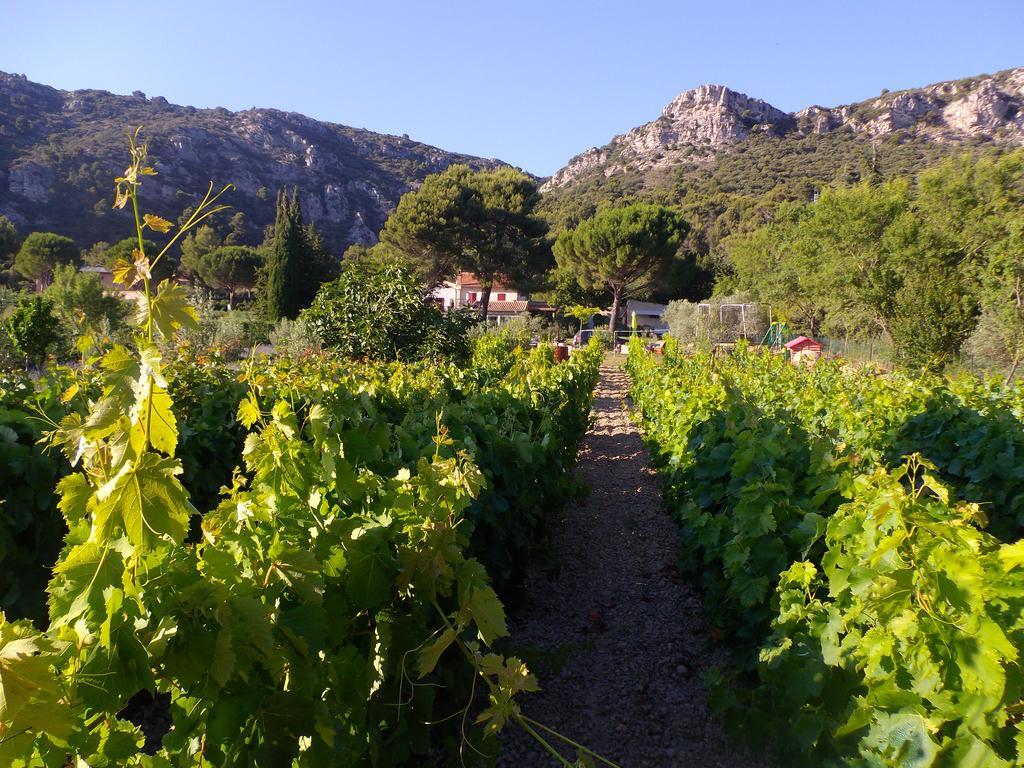 Au Havre De Paix Sainte Victoire Vauvenargues Exterior foto